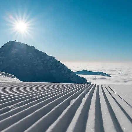 Motyl Liptovská Teplá